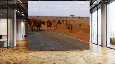 Amboseli National Park Wall mural