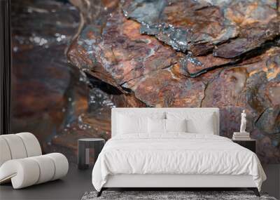 Background of natural brown stone,close-up. Wall mural