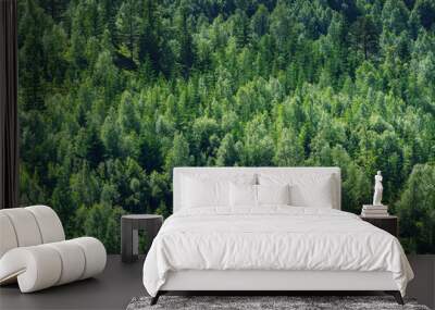 Green tree forest panorama in Norway Wall mural