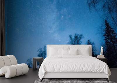 Mlky way in the night sky above snow-covered garden house in winter forest Wall mural