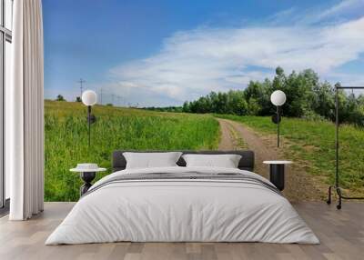 country road in a green field near power lines against a blue sky with beautiful clouds on a sunny day Wall mural