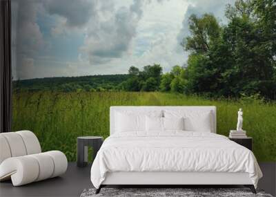 road overgrown with green grass against a cloudy sky before the rain Wall mural