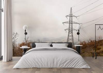 Power line in a mountains. Wall mural