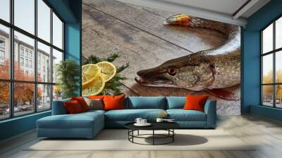 Fresh pike fish on a wooden table with spices, dill, and lemon. Close up top view Wall mural