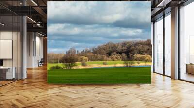 hilly green field with brown forest on the horizon under a cloudy sky Wall mural