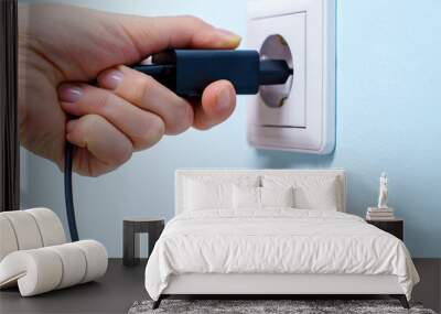 Image of hand with charger in socket Wall mural