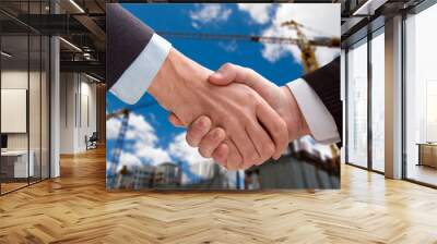 business handshake Wall mural