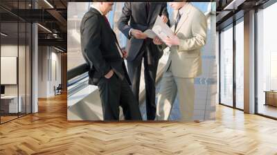 three young businessmen discuss results of work Wall mural