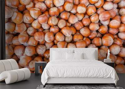 lots of hazelnut nuts, walnut natural background Wall mural