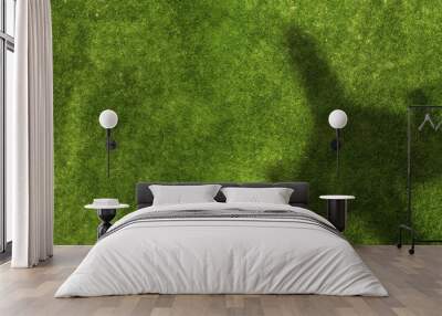 Airplane shadow on green field . Mixed media Wall mural