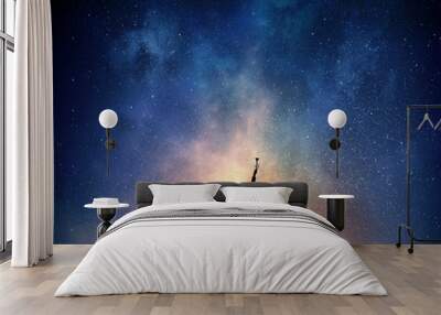 Businesswoman against starry sky . Mixed media Wall mural