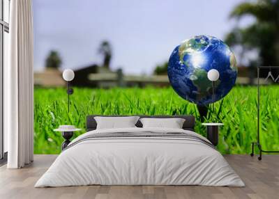 Earth - like a golf ball Wall mural