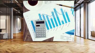 Financial charts and graphs on the table Wall mural