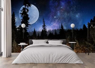 Full moon in night starry sky Wall mural