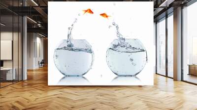 gold fish in a fishbowl Wall mural