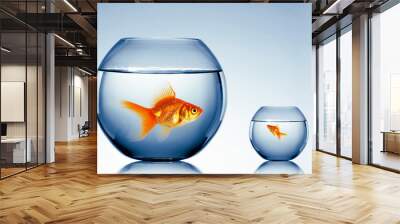 gold fish in a fishbowl Wall mural