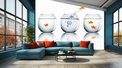 gold fish in a fishbowl Wall mural