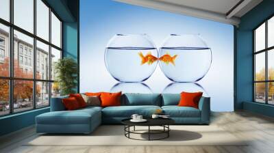 Goldfish and Aquarium Wall mural