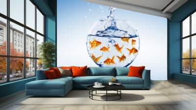 Goldfish jump Wall mural