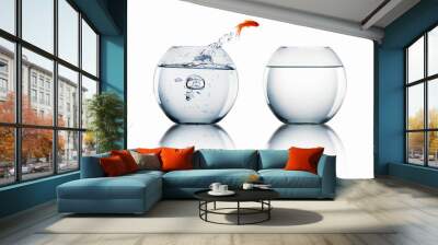 Goldfish jump Wall mural