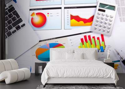 Graphs, charts, business table. Wall mural