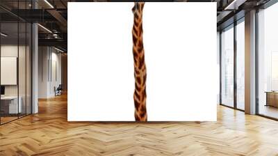 Giraffe head with big toothy smile and extra long neck isolated on white Wall mural