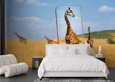 Taking photo of giraffe herd in the Kenya Wall mural