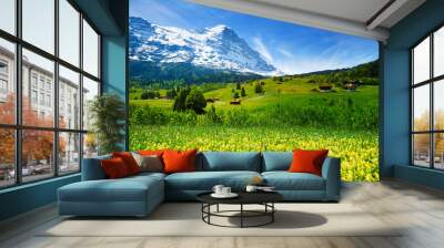 Yellow flowers field, beautiful Swiss landscape Wall mural