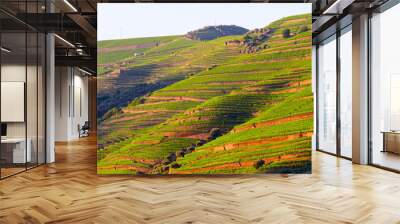 river Douro valley, Portugal Wall mural