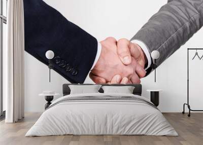 Two businessmen handshaking on gray background Wall mural