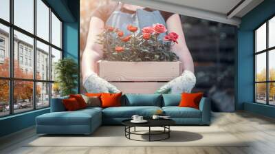 Photo of girl in gloves with box with roses standing in garden Wall mural