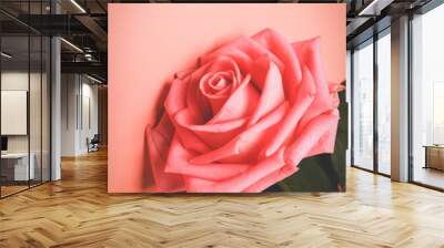 Pink rose on a pink retro background. toned photo Wall mural