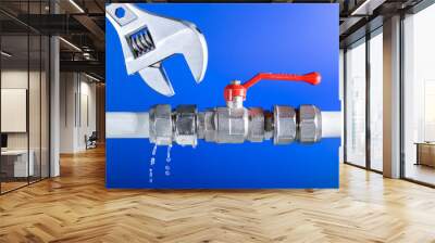 plumber at work in a bathroom, plumbing repair service. Leak of water. Wall mural