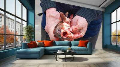 Cutting fish caught Wall mural