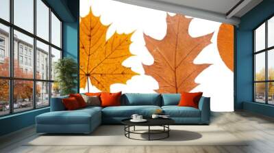 Set of autumn leaves isolated on white background. High resolution.  Wall mural