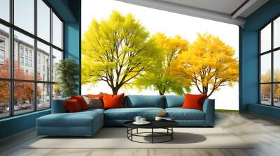 Summer and autumn Tilia cordata set street trees medium and small partly yellow two seasons isolated png on a transparent background perfectly cutout (Small-leaved linden, European linden) isolated  Wall mural