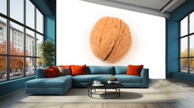 walnut isolated on white background Wall mural