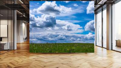 white clouds over the summer field Wall mural