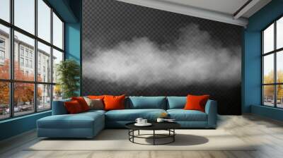 white smoke puff isolated on transparent black background. png. steam explosion special effect. effe Wall mural