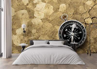 Black compass Wall mural