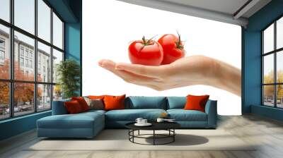 Female hand with two tomatoes Wall mural