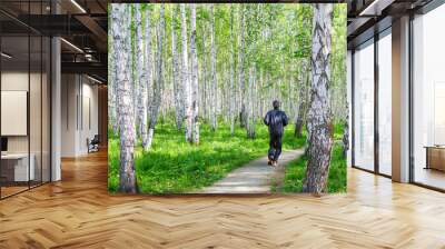 man running in birch grove Wall mural