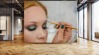 The girl makes up eyes in salon. Face care in salon. Wall mural