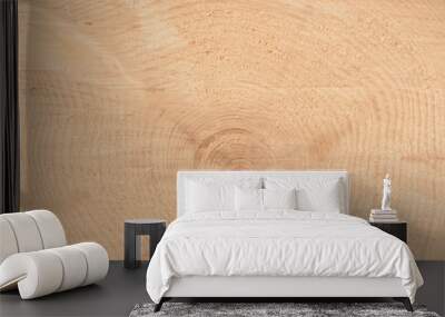 The texture of the end of the tree. Saw cut wood close up. Rough-wood on floors. Wood background. Wall mural