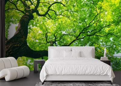 mighty tree with green leaves Wall mural