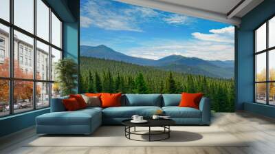 Beautiful pine trees on background high mountains. Wall mural