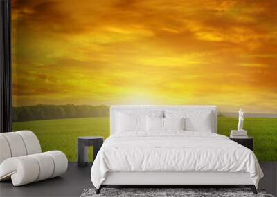 Beautiful sunset on green field Wall mural