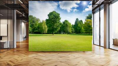 Bright summer sunny day in park with green fresh grass and trees. Wall mural