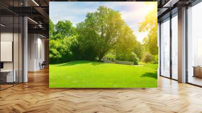 Bright sun in green summer park. Wall mural