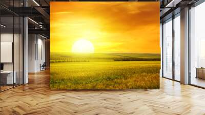 Golden sunset over field Wall mural